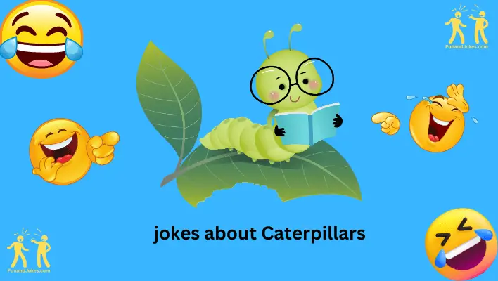 jokes about caterpillars