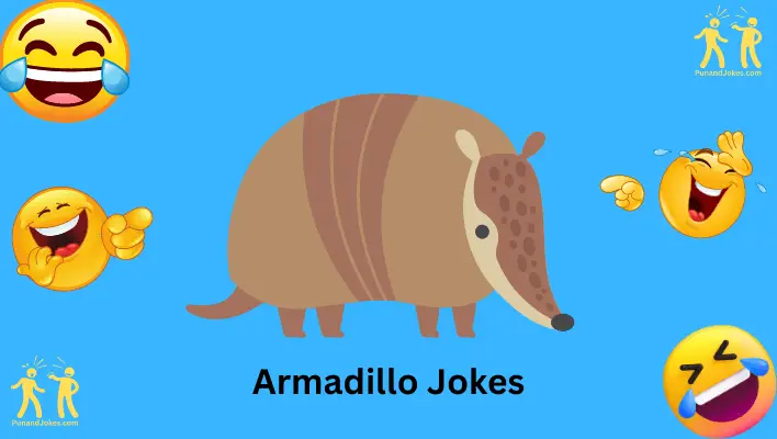 armadillo jokes