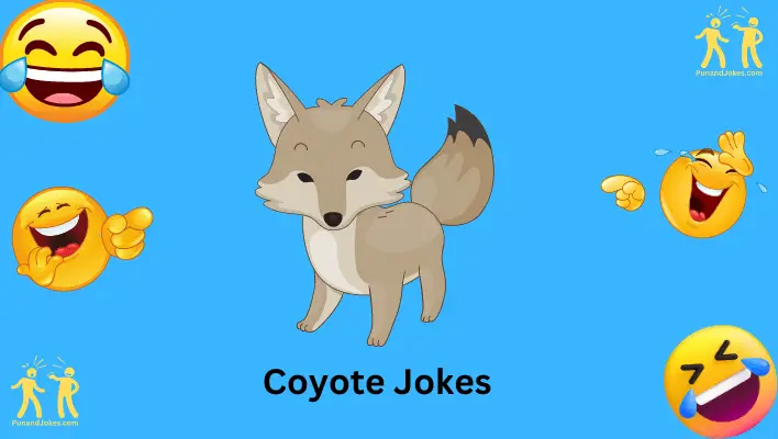 coyote jokes