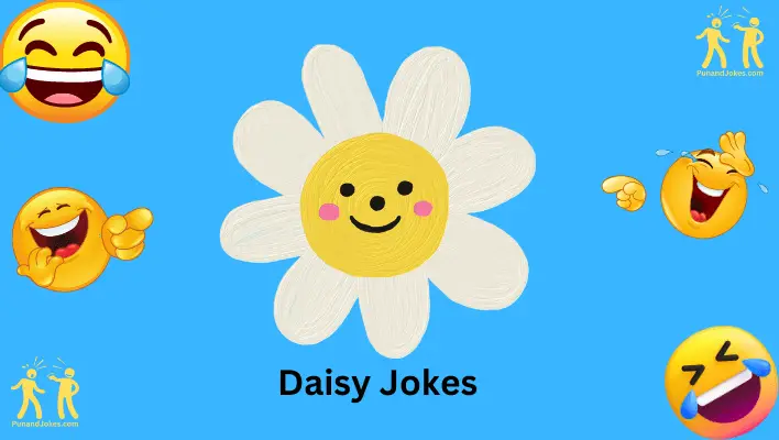 daisy jokes