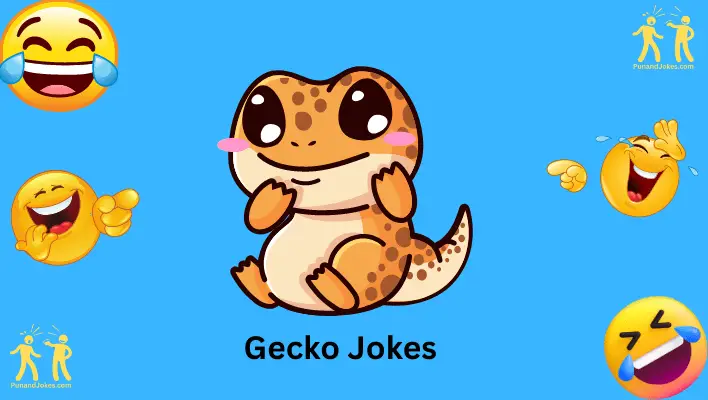 gecko jokes