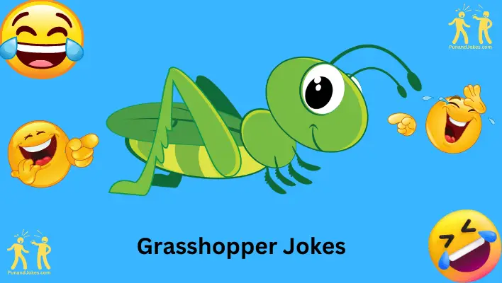 grasshopper jokes