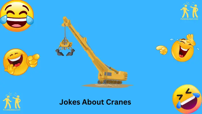 jokes about cranes
