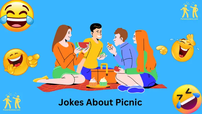 jokes about picnics