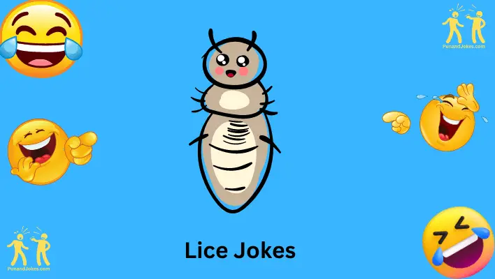 lice jokes