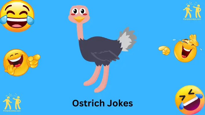 ostrich jokes