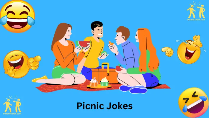 picnic jokes