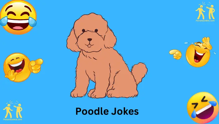 Hilarious 55+ Poodle Jokes That Will Leave You Howling With Laughter!