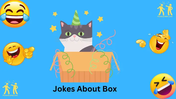 box jokes