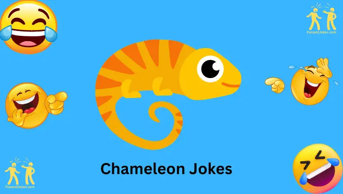 chameleon jokes