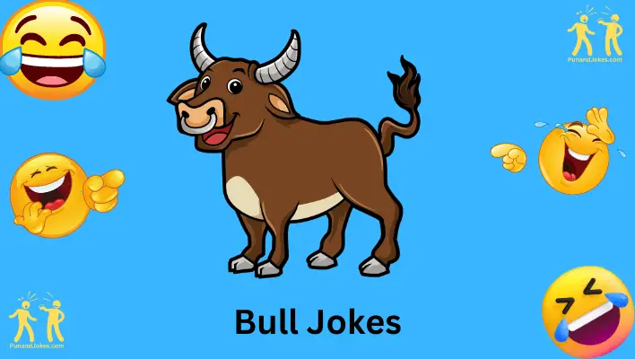 bull jokes