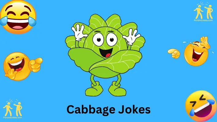 cabbage jokes