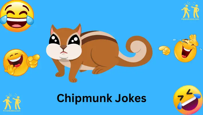 jokes about chipmunks