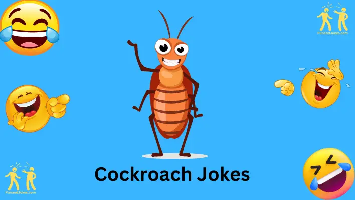 cockroach jokes