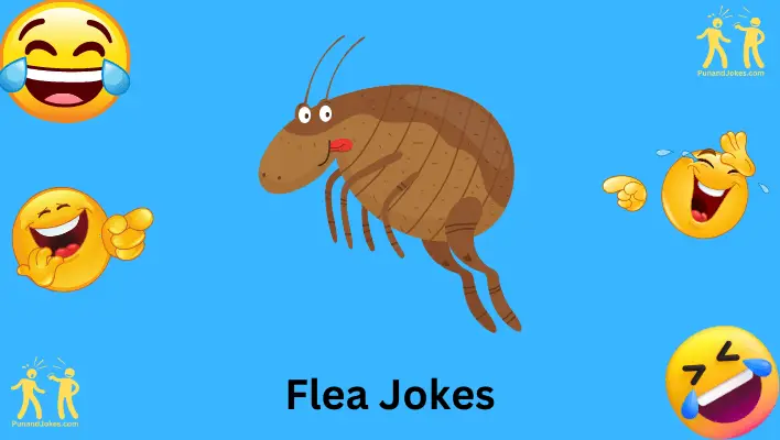 flea jokes