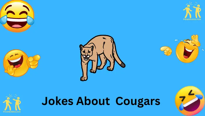 jokes about cougars