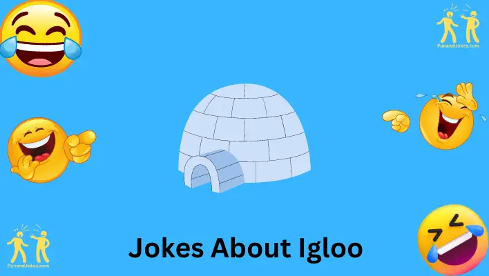 Igloo Jokes