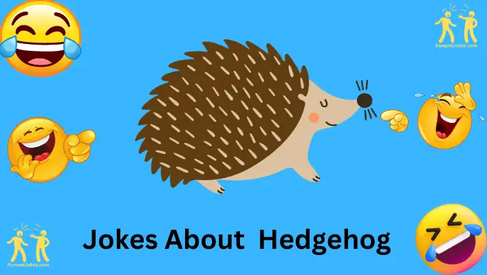 hedgehog jokes