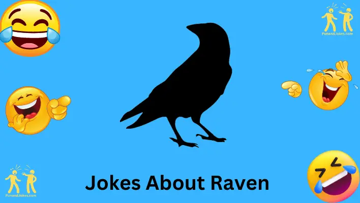 Jokes About Ravens