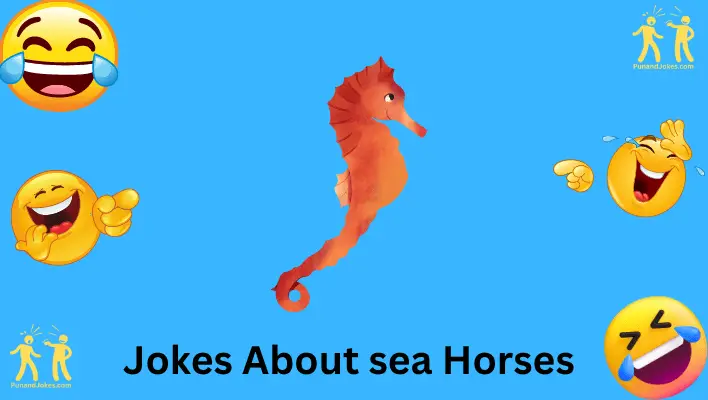 Jokes about Seahorses