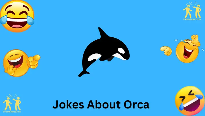 jokes about orca