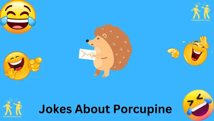 Porcupine Jokes