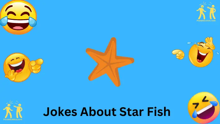 star fish jokes