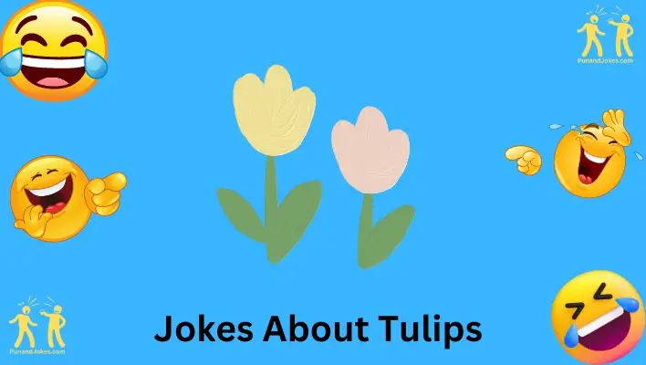 Jokes About Tulips