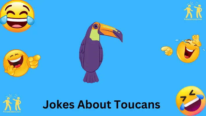 Jokes on Toucan