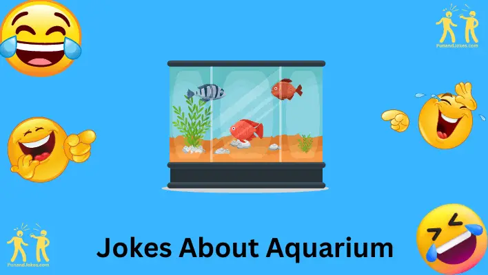 Jokes About Aquariums