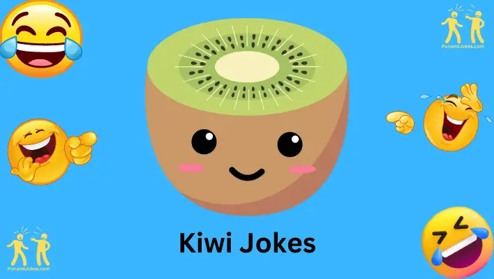 kiwi jokes