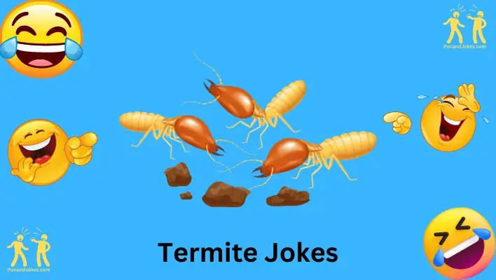 termite jokes