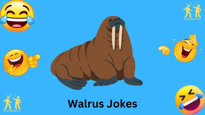 walrus jokes