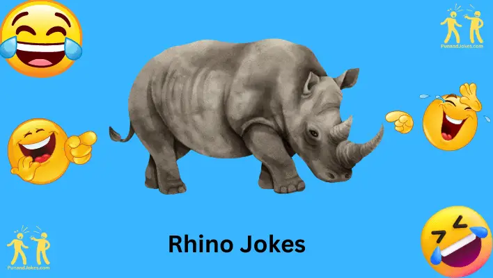 rhino-jokes