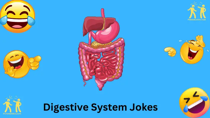 digestive-system-jokes