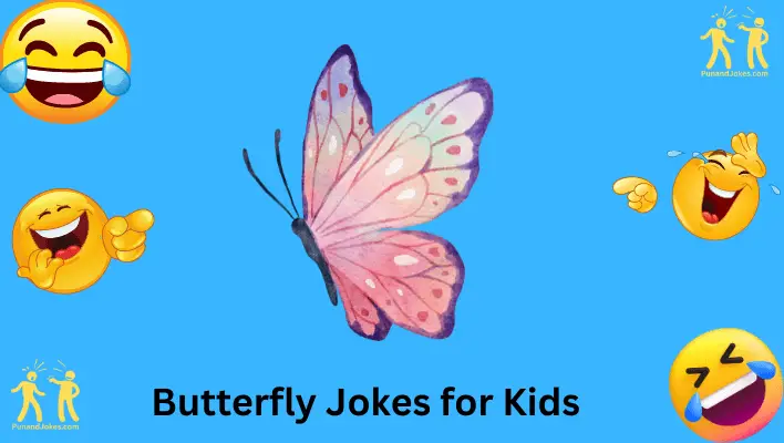 butterfly-jokes