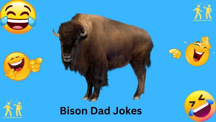 bison dad jokes