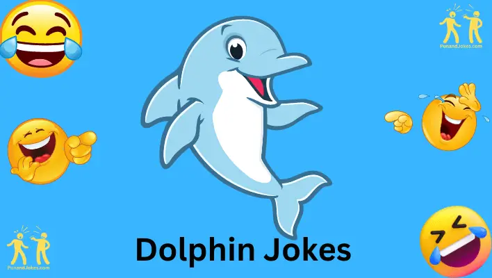 dolphin jokes