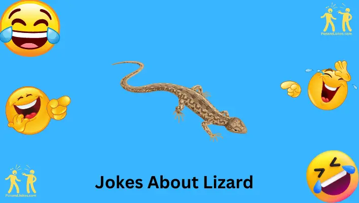 Lizard Jokes