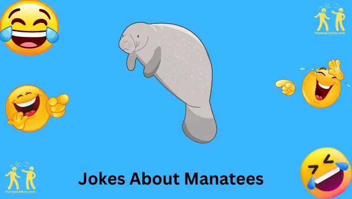 manatee-jokes: