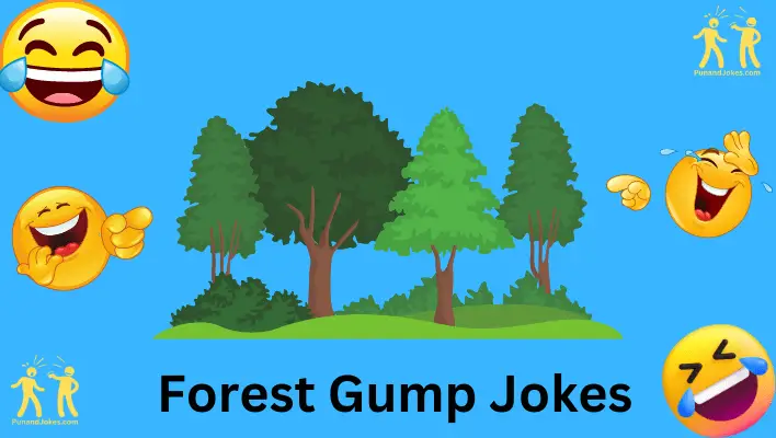 forest gump jokes