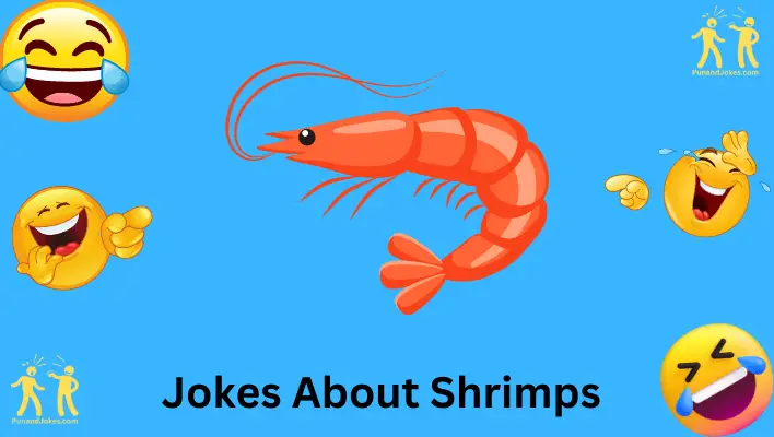 Shrimp Jokes