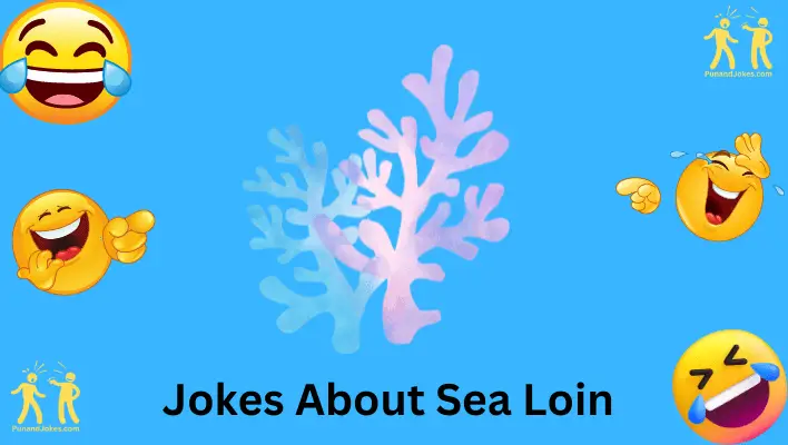 Sea Lion Jokes