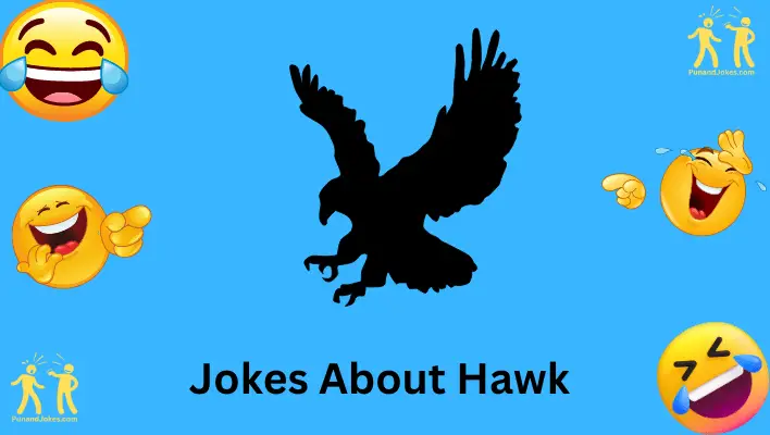 60+ Hilarious Hawk Jokes To Make Your Day Soar!