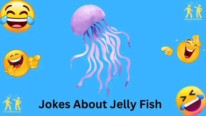 Jellyfish Jokes