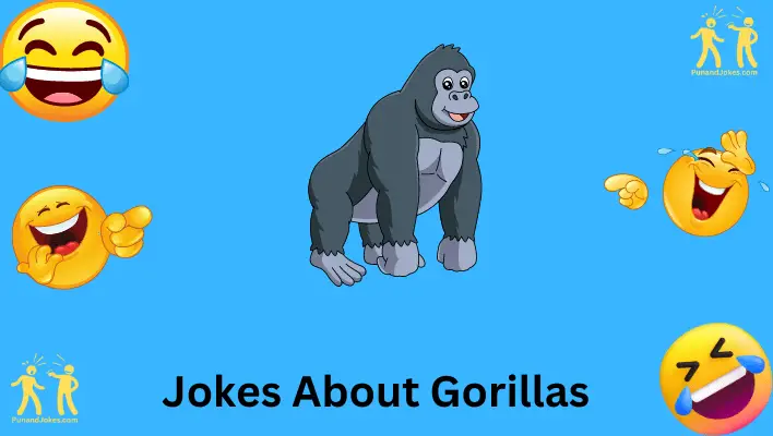 Jokes about Gorillas