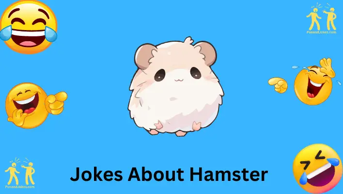 Hamster Jokes