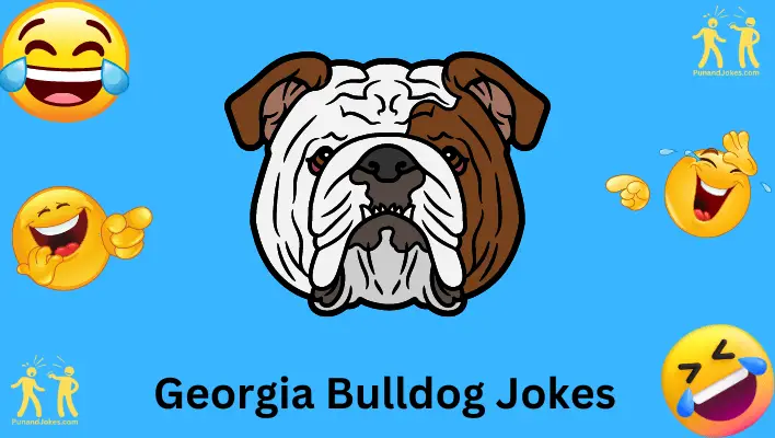 Jokes About bulldog