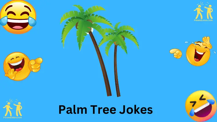 palm-tree-jokes