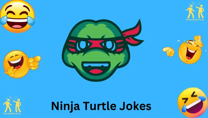 Ninja Turtle Jokes